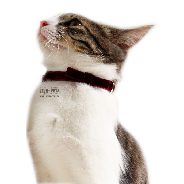 CattyMan Stylish Cat Collar - Velvet Wine