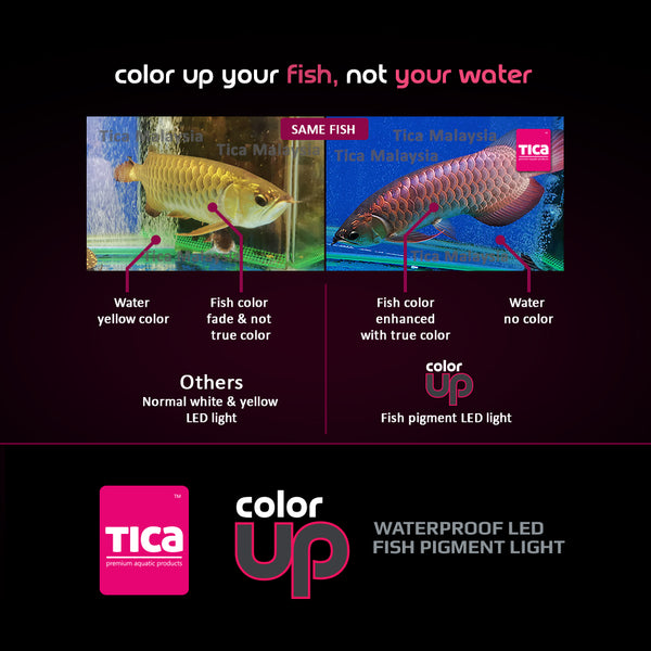 [NEW] Tica Color Up 2 Fish Color Pigment LED Light