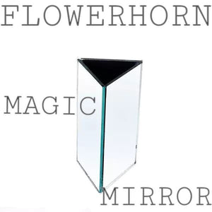 Flowerhorn Magic Mirror