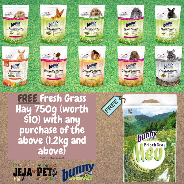 [PROMO] Bunny Nature Herbivore Diet Promotion [FREE GRASS HAY]*