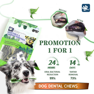 [PROMO: BUY 1 GET 1 FREE] Petunion iChew Vegetable & Complex Enzymes Dog Dental Chews - XS / S / M / L