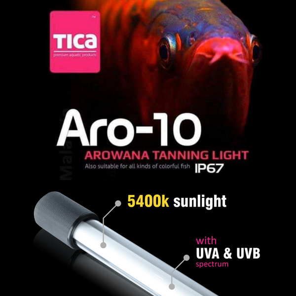 Tica Aro-10 Tanning Light (5400K)