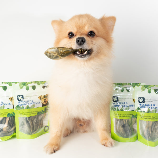 [PROMO: BUY 1 GET 1 FREE] Petunion iChew Vegetable & Complex Enzymes Dog Dental Chews - XS / S / M / L