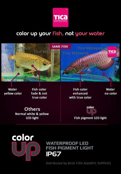 [DISCONTINUED] Tica Color Up Fish Color Pigment LED Light