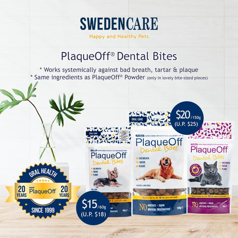 [LAUNCH PROMO] Swedencare ProDen Plaque Off Dental Bites for Cats and Dogs