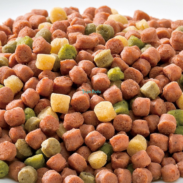 Sunrise Minch Special Semi-Moist Dog Food Chicken and Seafood with Green and Yellow Vegetables Senior 11+ - 1.08kg